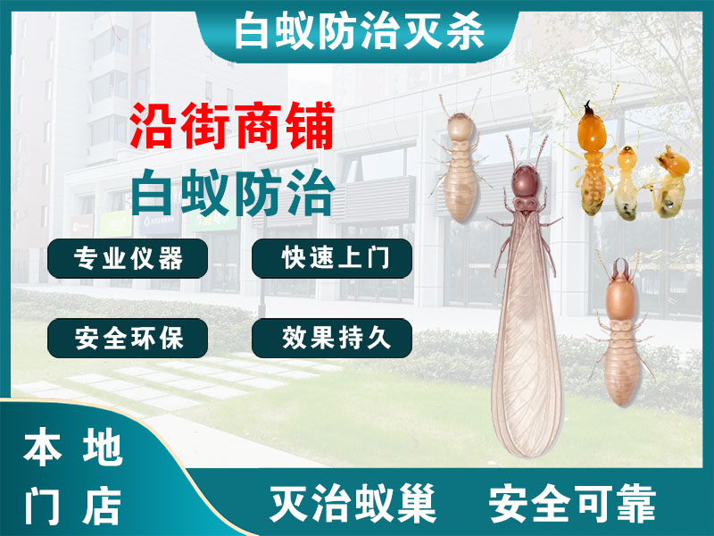 东台沿街商铺白蚁防治