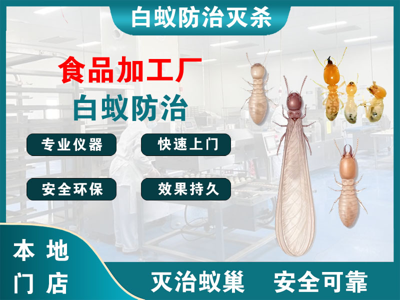 东台食品加工厂白蚁防治