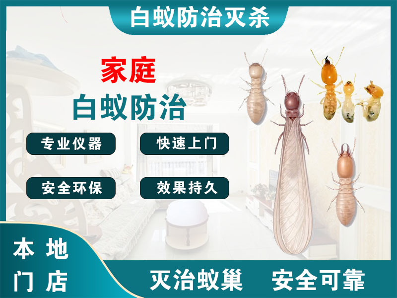 东台家庭白蚁防治