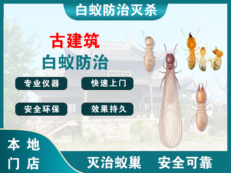 东台古建筑白蚁防治