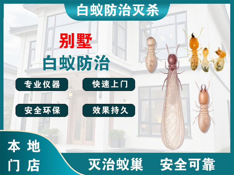 东台别墅白蚁防治