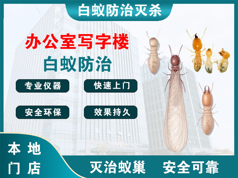 东台办公室写字楼白蚁防治