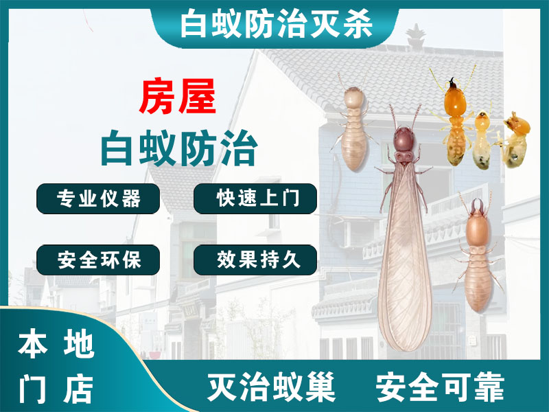 东台房屋白蚁防治